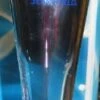 SeaWorld Pilsner Glass - Believe