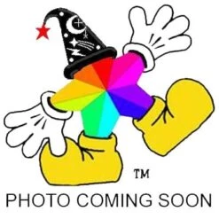 Disney Adult Shirt - Special Request Shirt